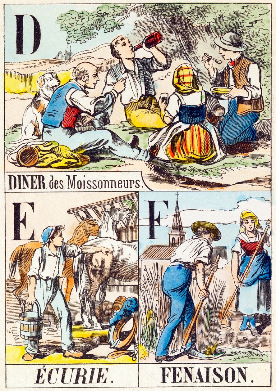 D E F: Diner des Moissonneurs, Ecurie, Fenaison - 