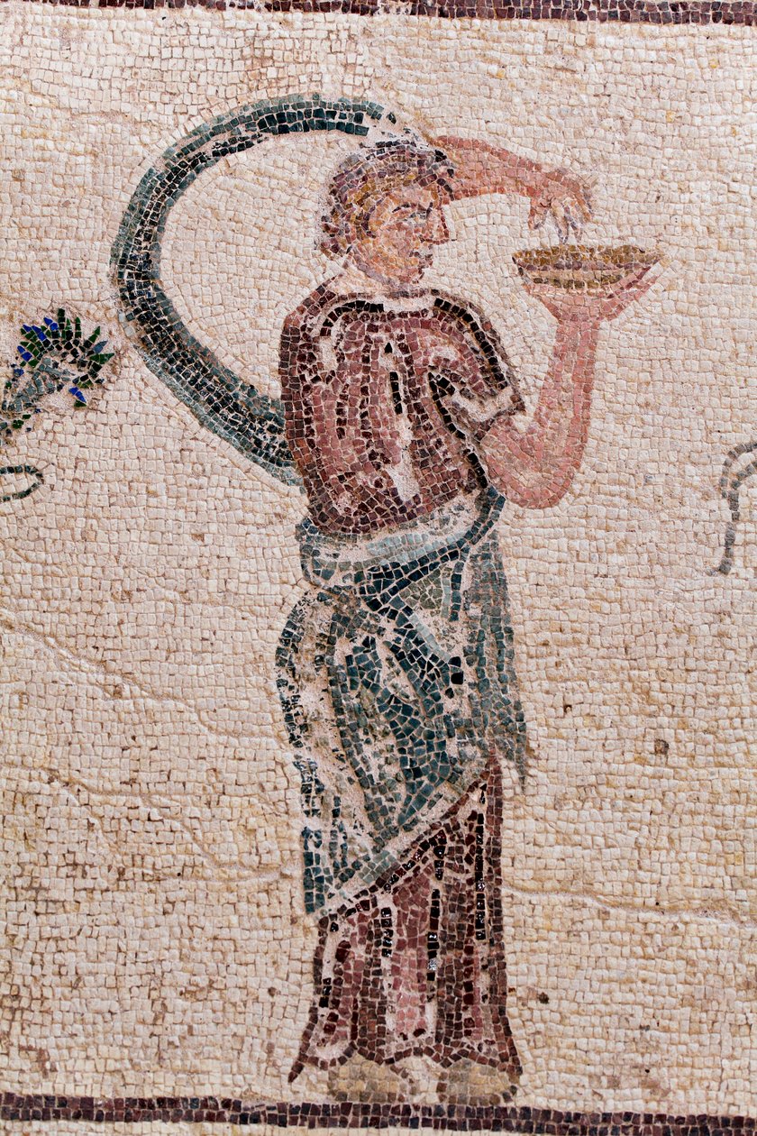 The Triumph of Dionysos - Return of the god from a military expedition to India - A Baccante holding a libation bowl - Paphos mosaics, House of Dionysos, End of the 2nd Century AD - Cyprus - (detail) by William M. Timlin