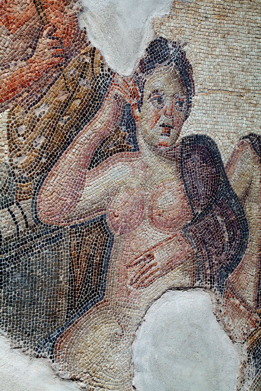 (detail) Panel showing Leda, queen of Sparta, in the company of the lacedaemonian girls, being about to take a bath in the Eurotas river - She is being approached by Zeus disguised as a swan - Paphos Mosaics, House of Aion, 3rd Century AD - Cyprus by Unbekannter Künstler