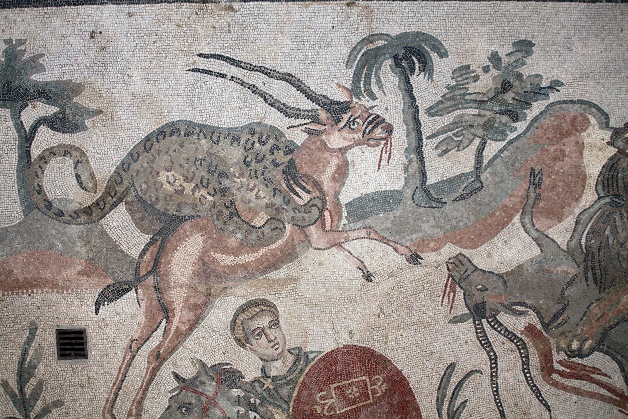 Detail of the great hunt mosaic. A leopard attacking a gazelle. 3rd - 4th century. Roman Villa of the Casale, Sicily. UNESCO site. by William M. Timlin