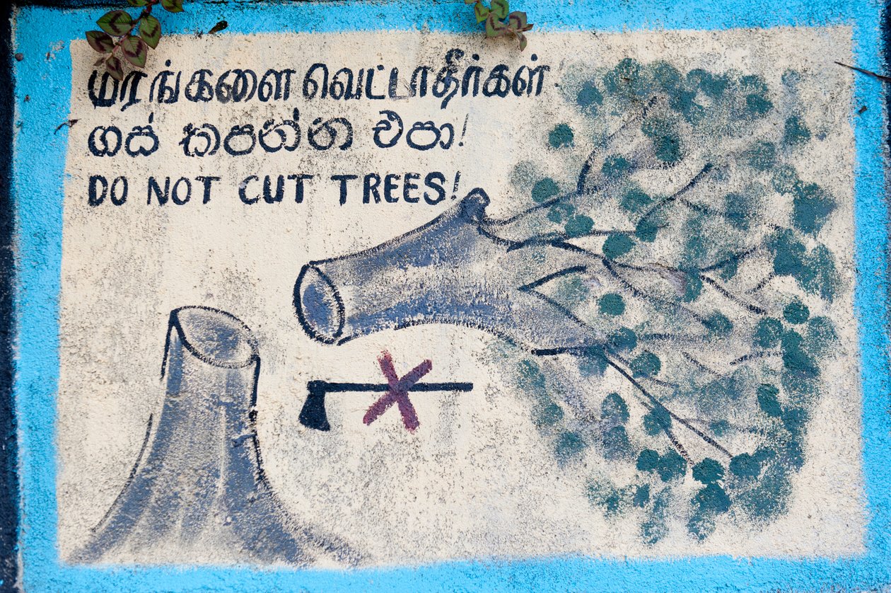 Environmental Protection; Painted Sign; 