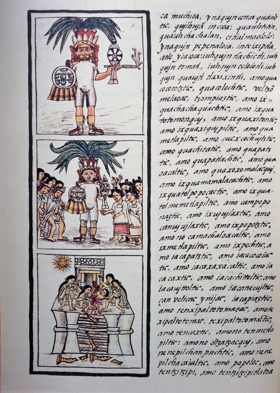 Festival of Toxcatl and his victim, Book II of Florentine Codex, Bilingual version in Spanish and Nahuatl, General History of the Things of New Spain (Historia general de las cosas de Nueva Espana), Aztec civilization by Benjamin Baud