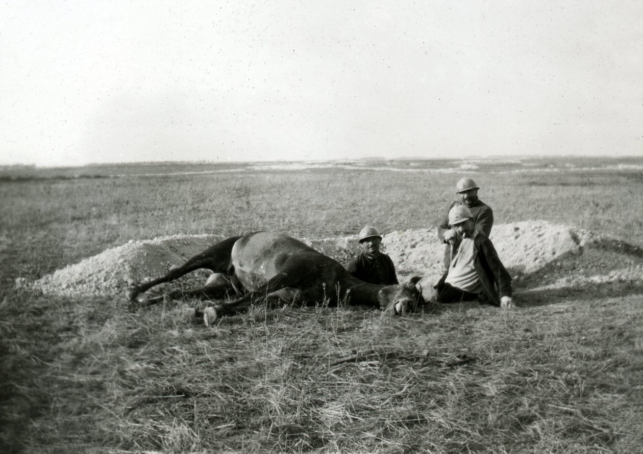 First World War 14-18 (1914-1918): three French soldiers bury a dead horse by Unbekannter Künstler