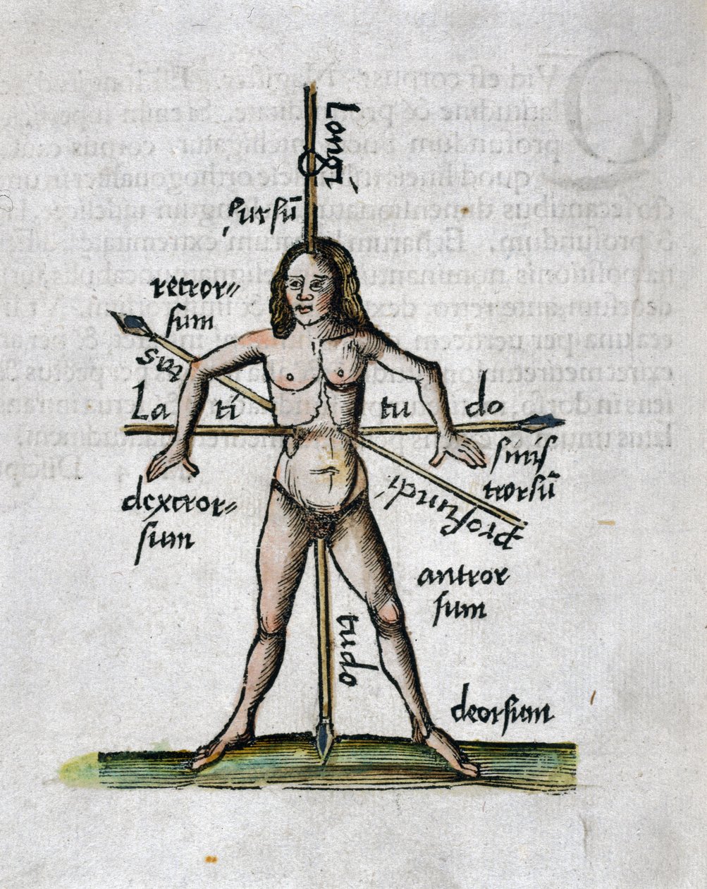 Geography 16th Century: Human Figure Representing Longitudes and Latitudes, His Body Traversed by Lances Oriented According to the Angles of Imaginary Lines by Unbekannt