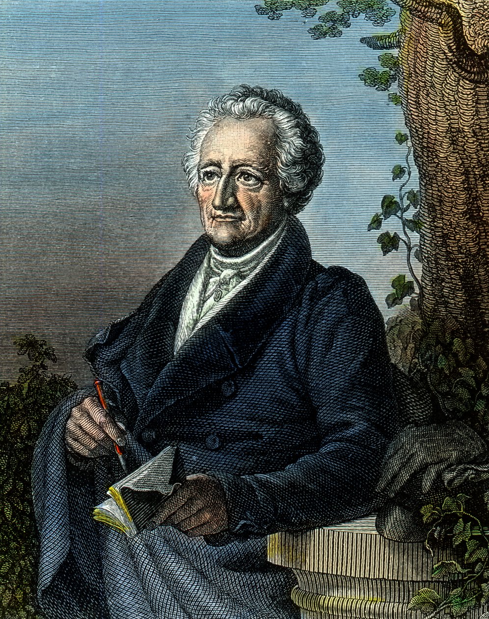Goethe, Aged 83 by Unbekannter Künstler