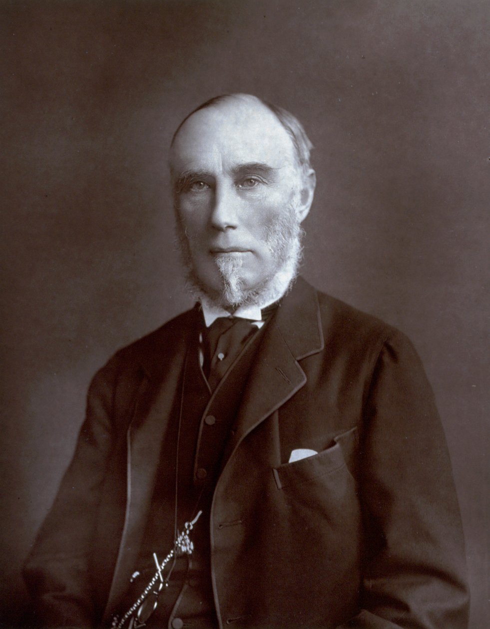 Half-length portrait of the Viceroy of the Indies Thomas Baring Count of Northbrook by Unbekannter Künstler