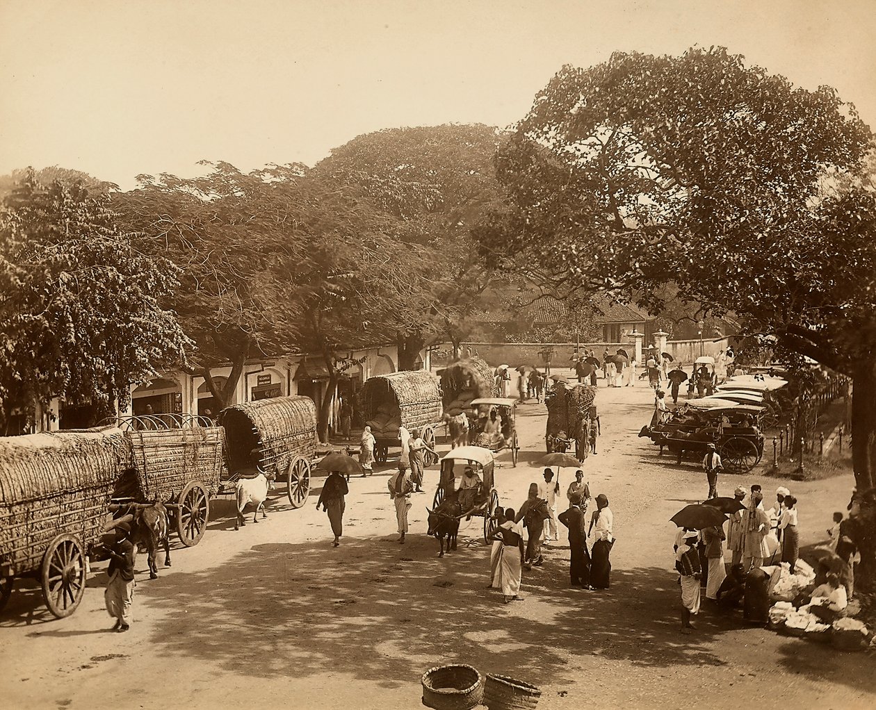 Indian road amongst the trees with carts and people by Unbekannter Künstler