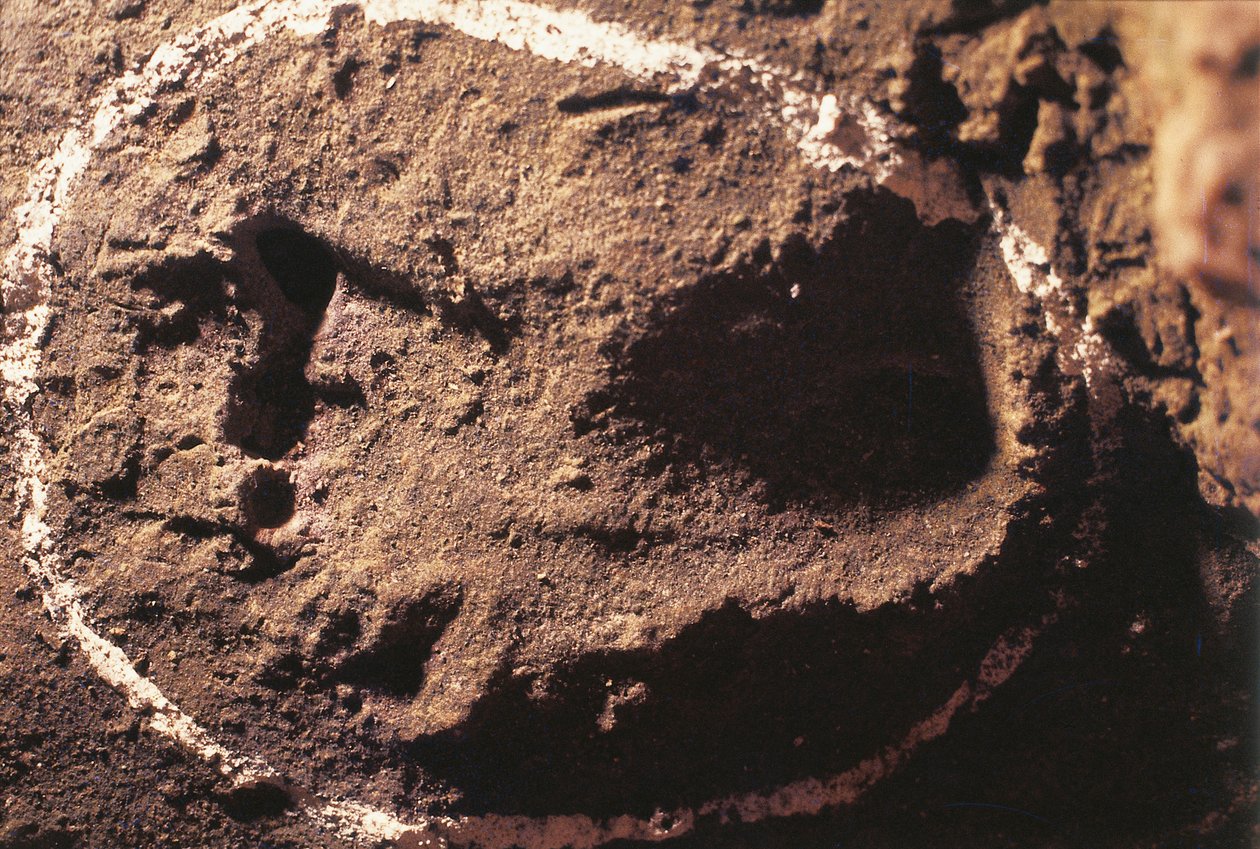 Footprints of Prehistoric Hunter by Benjamin Baud