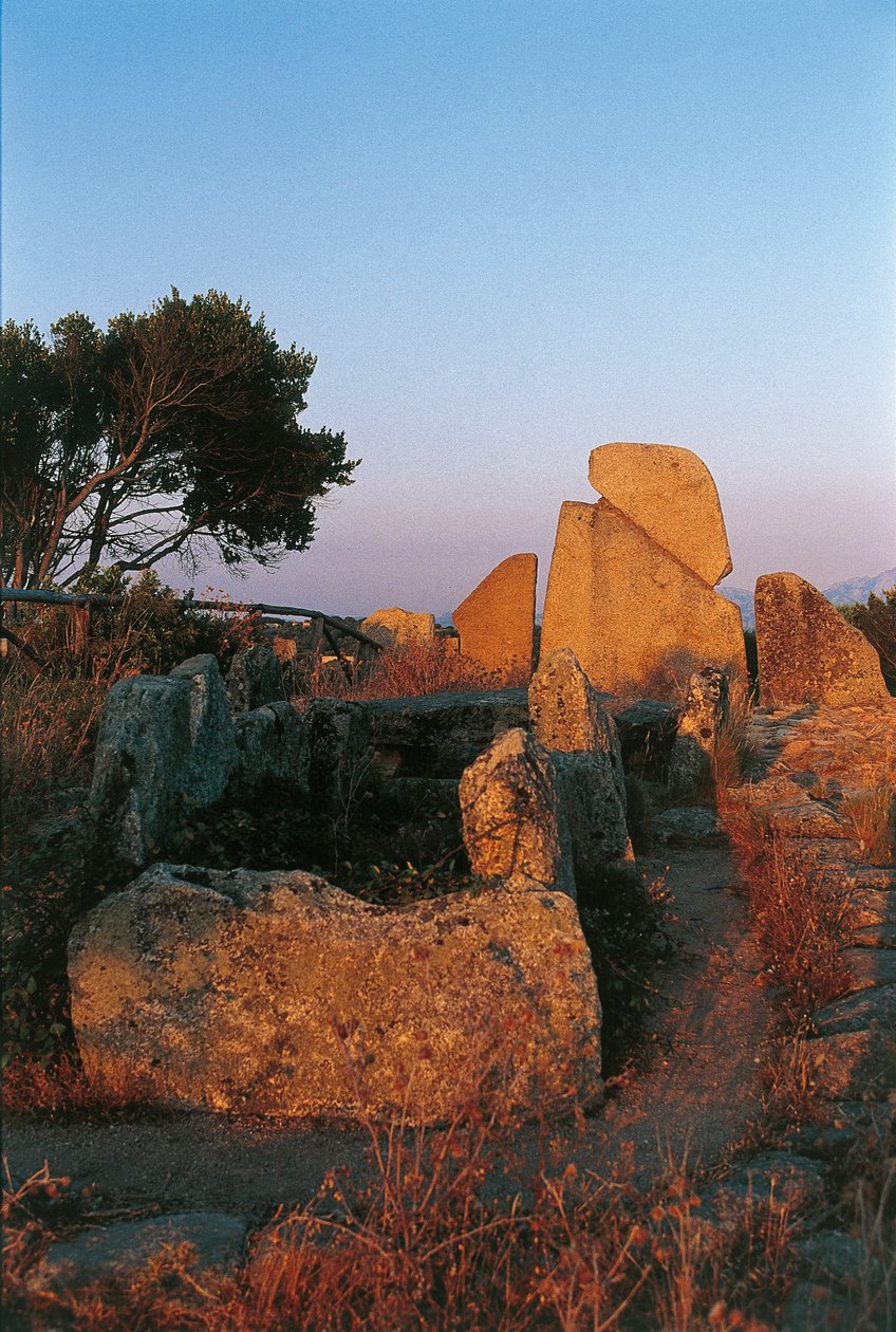 Italy, Sardinia, Arzachena, province of Olbia-Tempio, Li Longhi Giants
