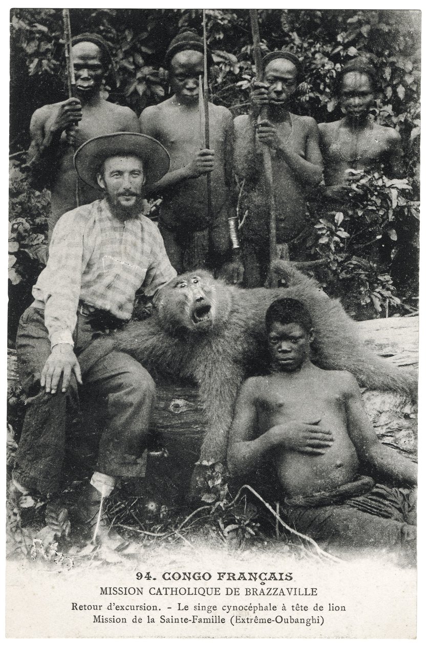 The Cynocephalus Monkey with a Lion