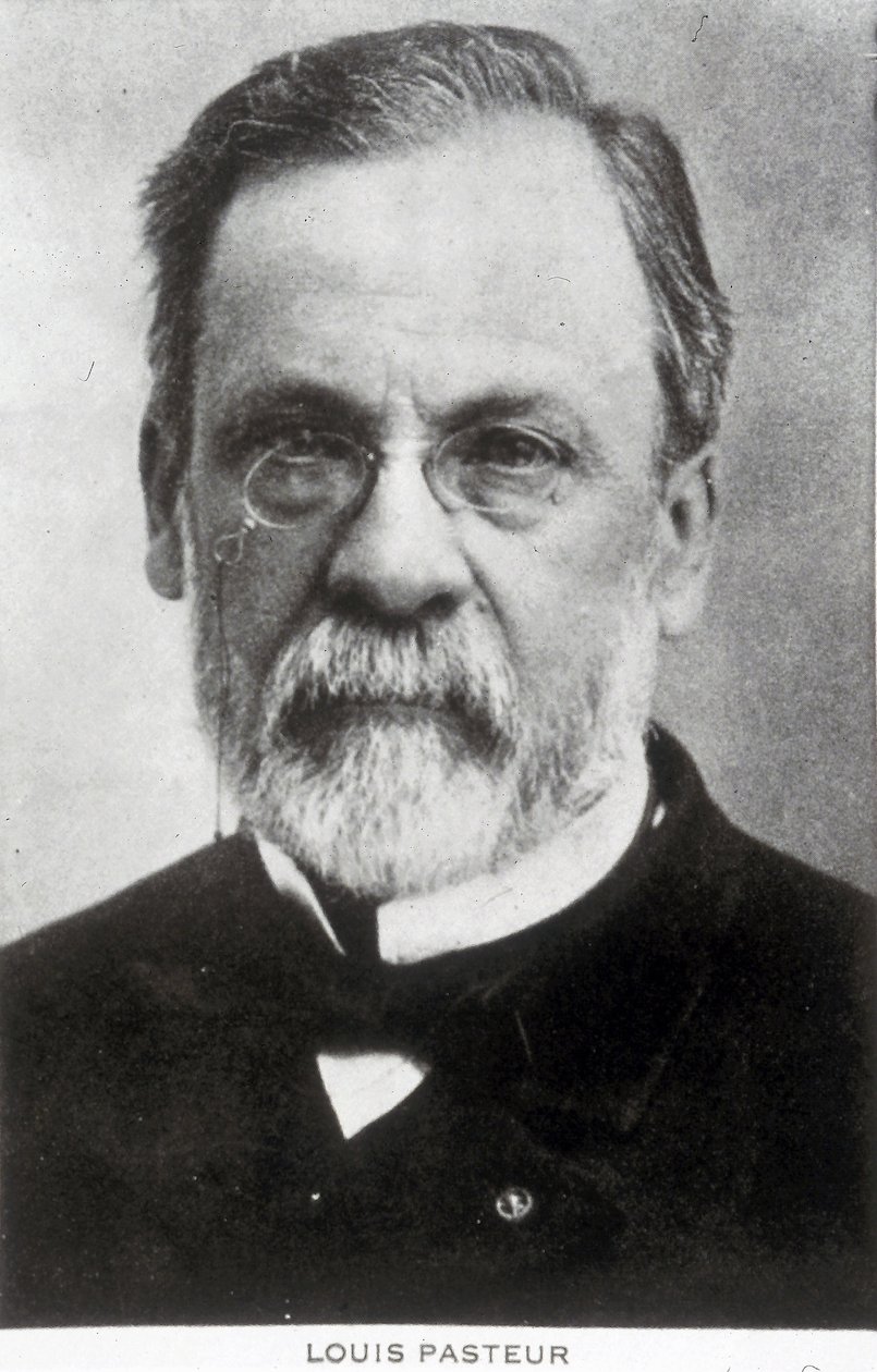 Louis Pasteur, French chemist and microbiologist, c 1885 by Unbekannter Künstler