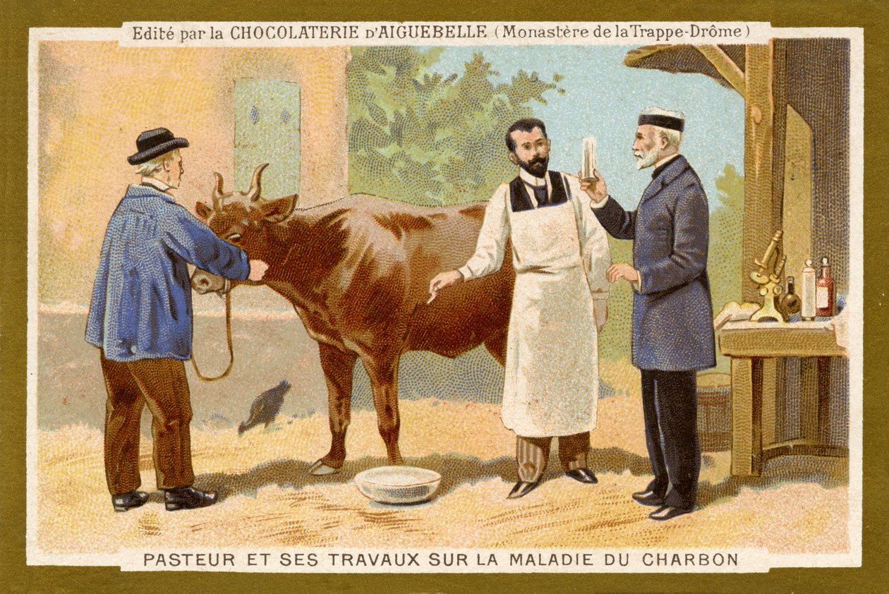 Louis Pasteur working to find a cure for Anthrax by Unbekannter Künstler