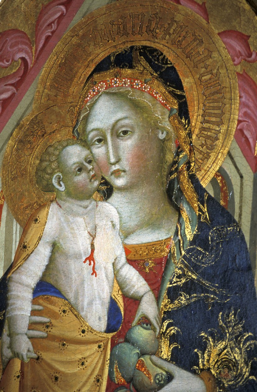 Madonna and child, Francesco di Gentile, 14th century, Piersanti museum, Matelica, Marche, Italy by Unbekannt
