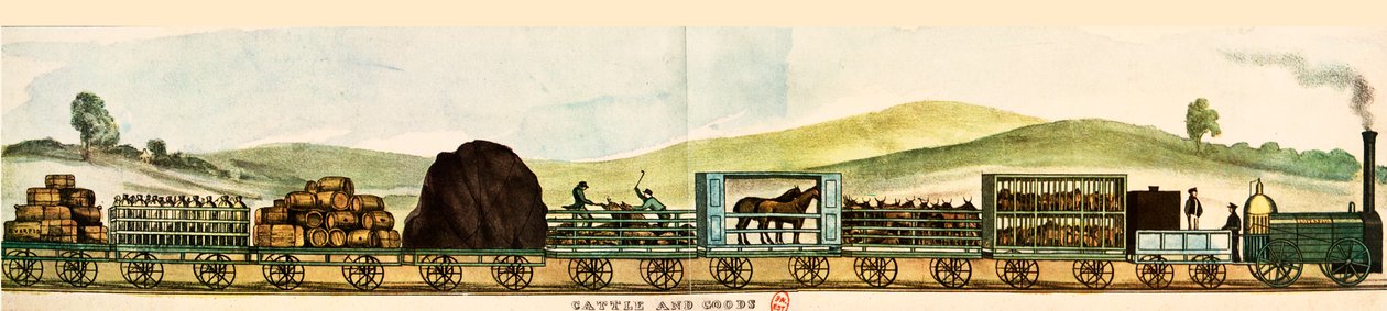 Merchandise and Cattle Carriages, Liverpool-Manchester Railway by Unbekannter Künstler