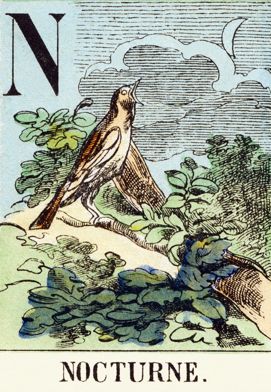 N: Nocturne - The Hunting Alphabet, c.1890 by Unbekannt