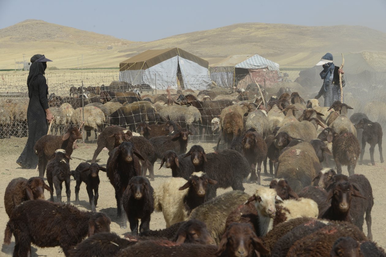 Nomadic Tents Between Tamar and Ashkhaneh, Iran 2022 by Unbekannter Künstler