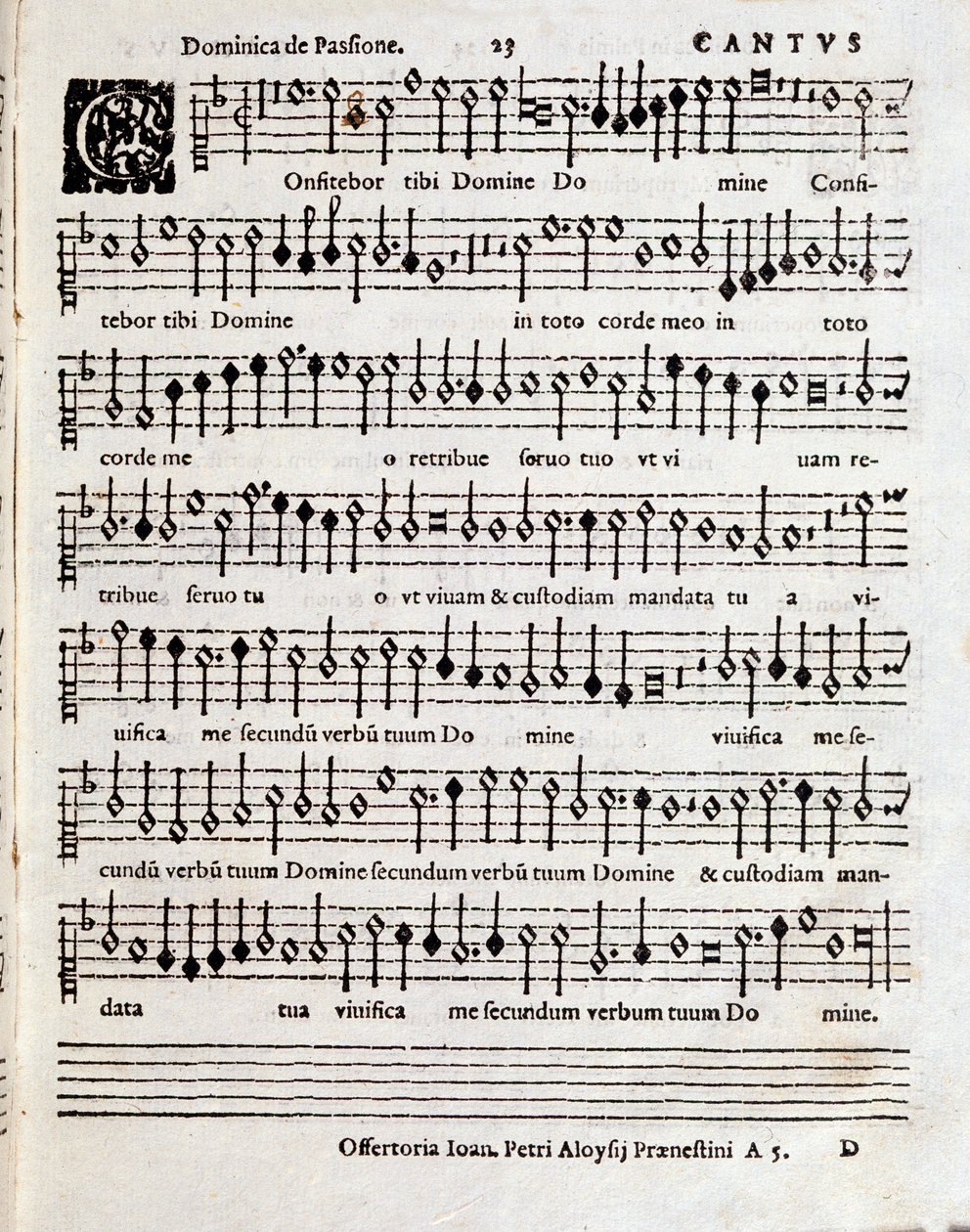 Page of Musical Score of Cantium Canticorum Salomonis by Penderecki by Unbekannter Künstler