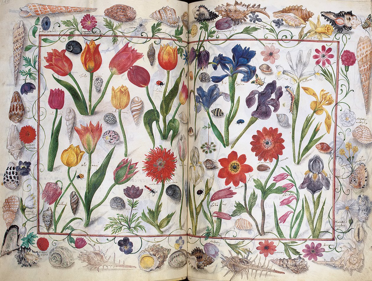 Pages from the Album Amicorum of Philipp Hainhofer by Unbekannt