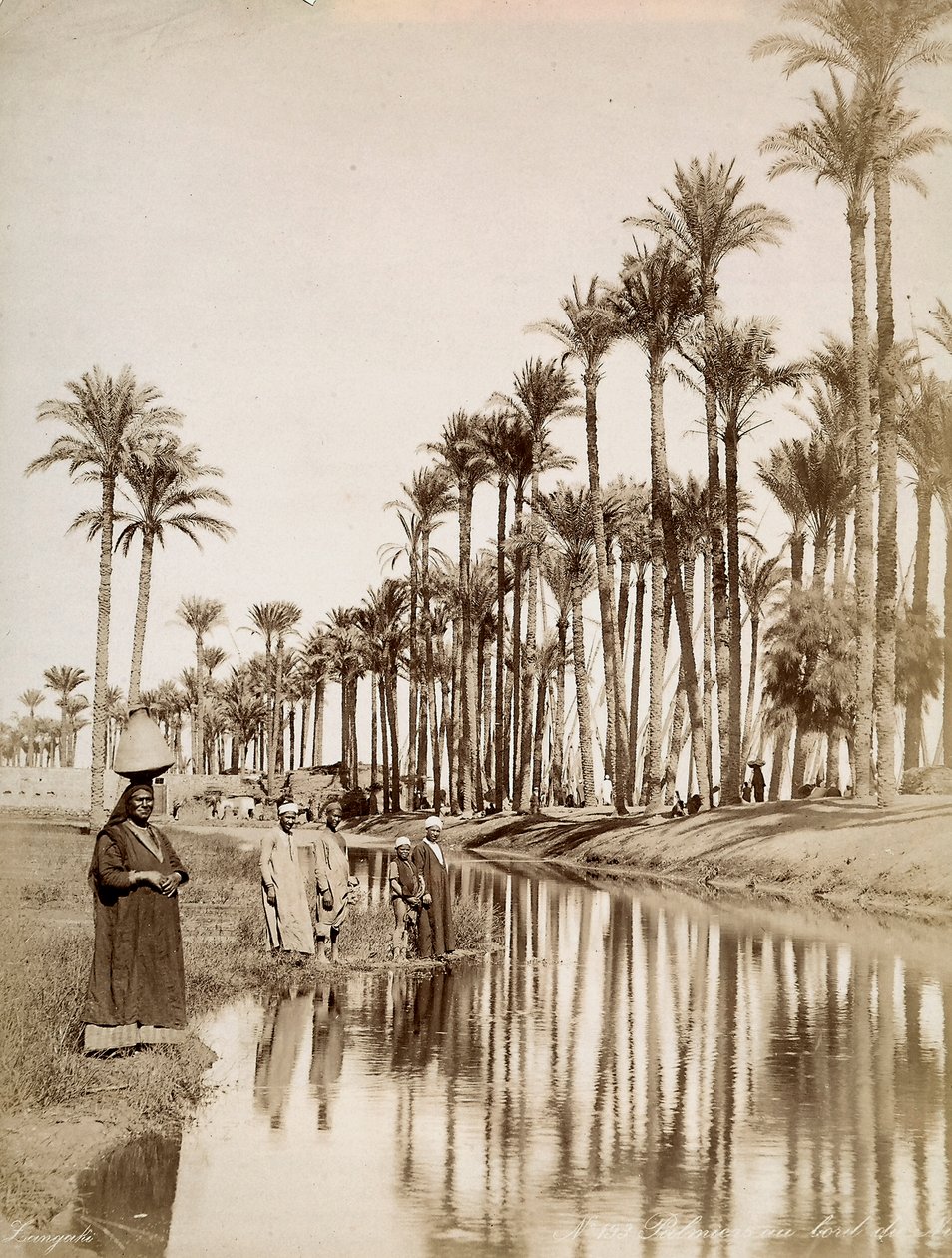 Palm Trees Along the River Nile. In the Foreground Men in Traditional Costume by Unbekannter Künstler