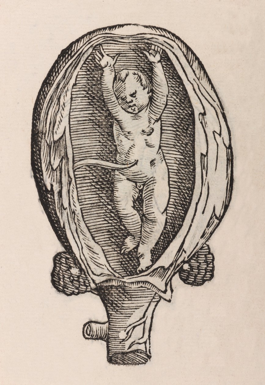 Non-Natural Birth with Hands Extended by Unbekannt