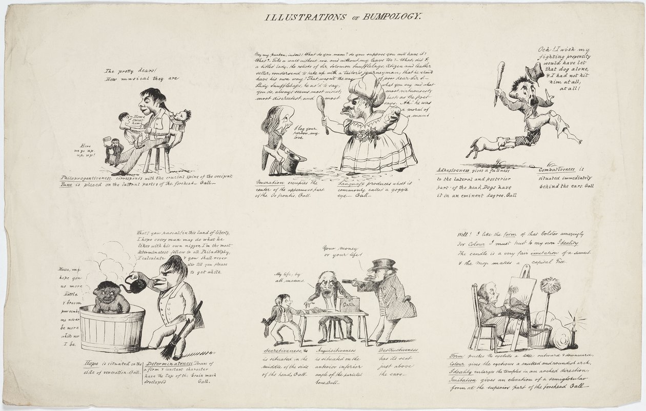 Phrenology Illustrations of Bumpology by Unbekannt