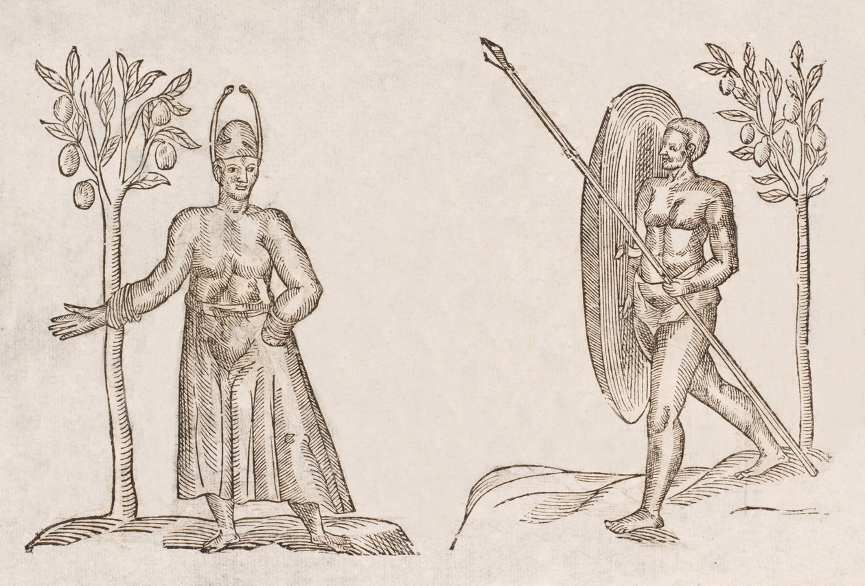 Rex sinus Antongil & Miles sinus Antongil by Unbekannt