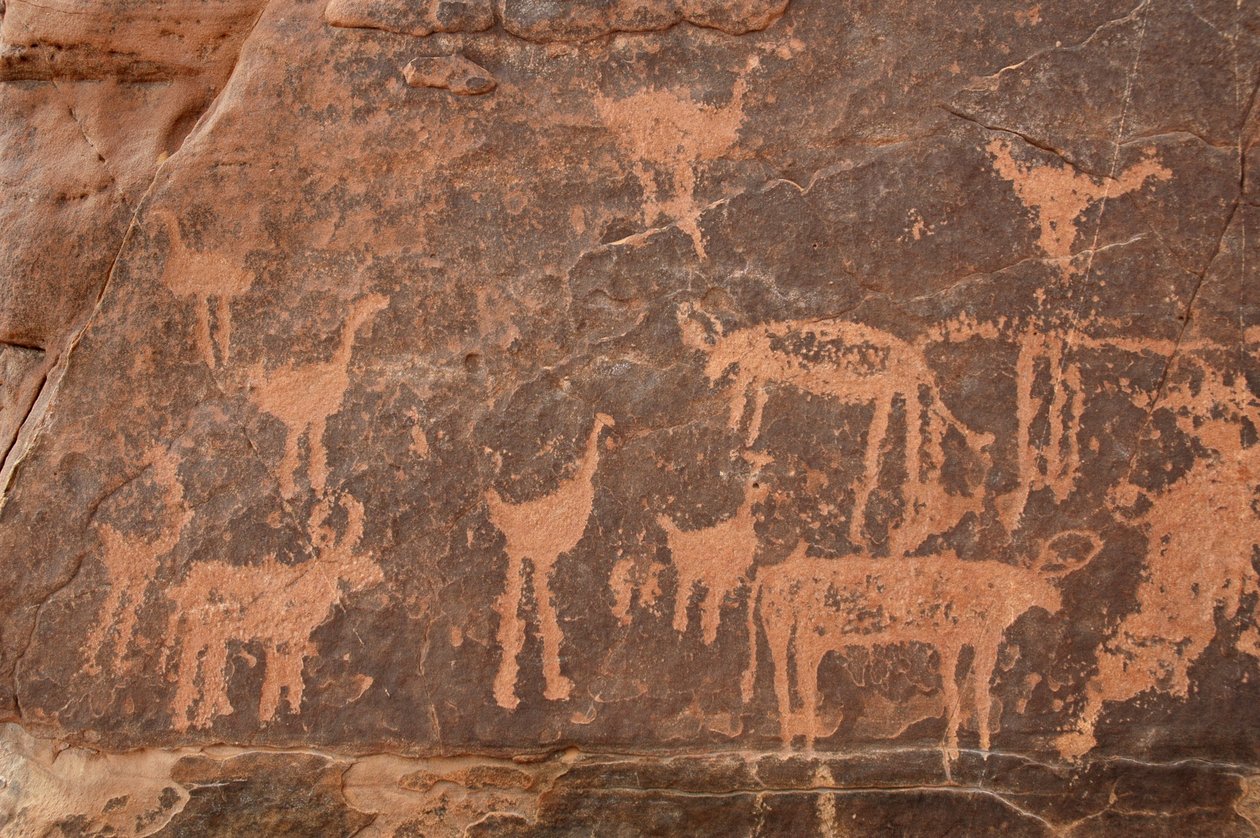 Detail of an Engraving of a Set of Ostriches and Cattle in the Uweinat Massif, Egypt by Unbekannt