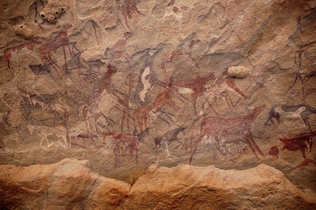 Rock art, Prehistory: Rock painting of a group of cattle and polychrome characters in an ornate shelter, in the Uweinat massif, Sudan. Period from 8000 to 3000 years BC. Photography by Unbekannt