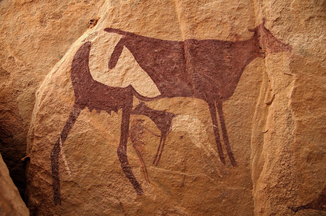 Rock art, Prehistory: Rock painting of a large two-tone cow and its calf in an ornate shelter, in the Uweinat massif, Sudan (Period from 8000 to 3000 years BC). Photography by Unbekannt