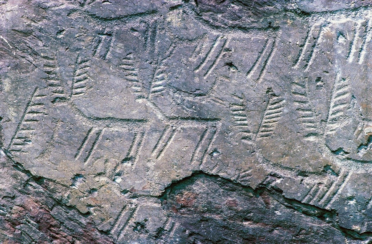Rock Carvings in the Massi di Cemmo National Archaeological Park, Val Camonica (Unesco World Heritage List) by William M. Timlin