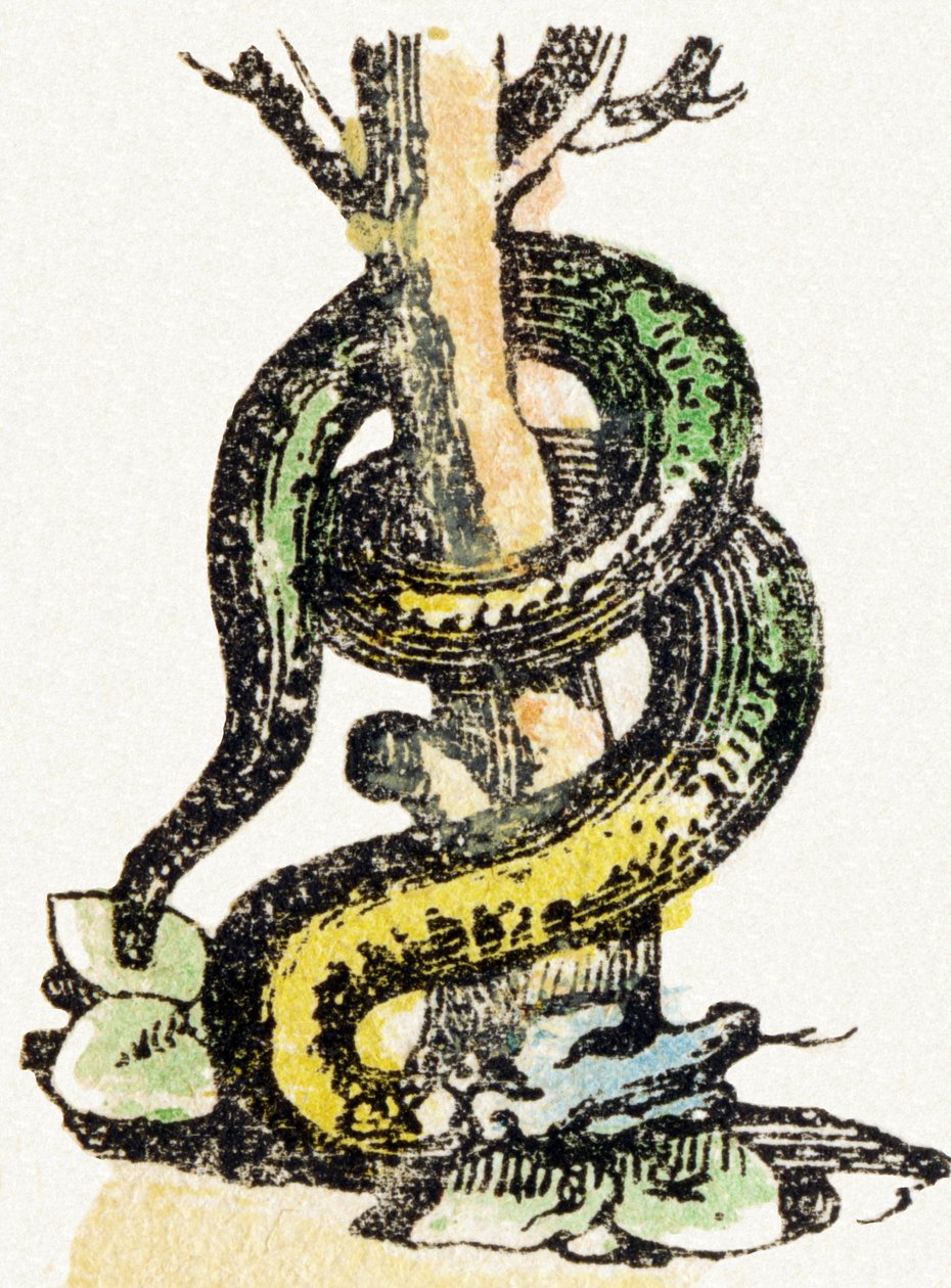 S - Serpent - Child Entertainment Alphabet c.1890 by Unbekannt