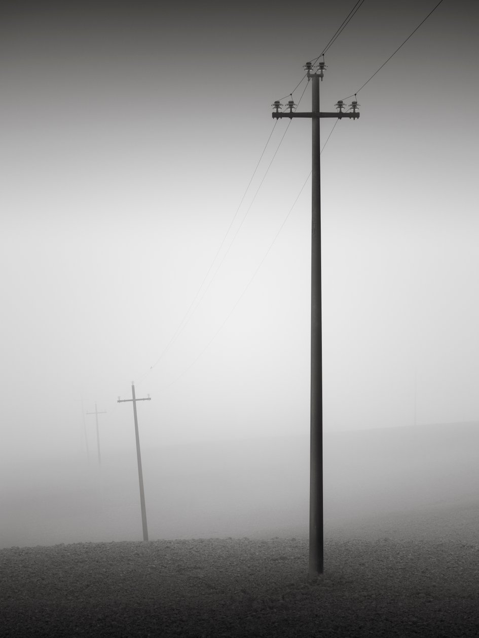 Solidarity, Tuscany, Italy, 2015 by Leopold Blonder
