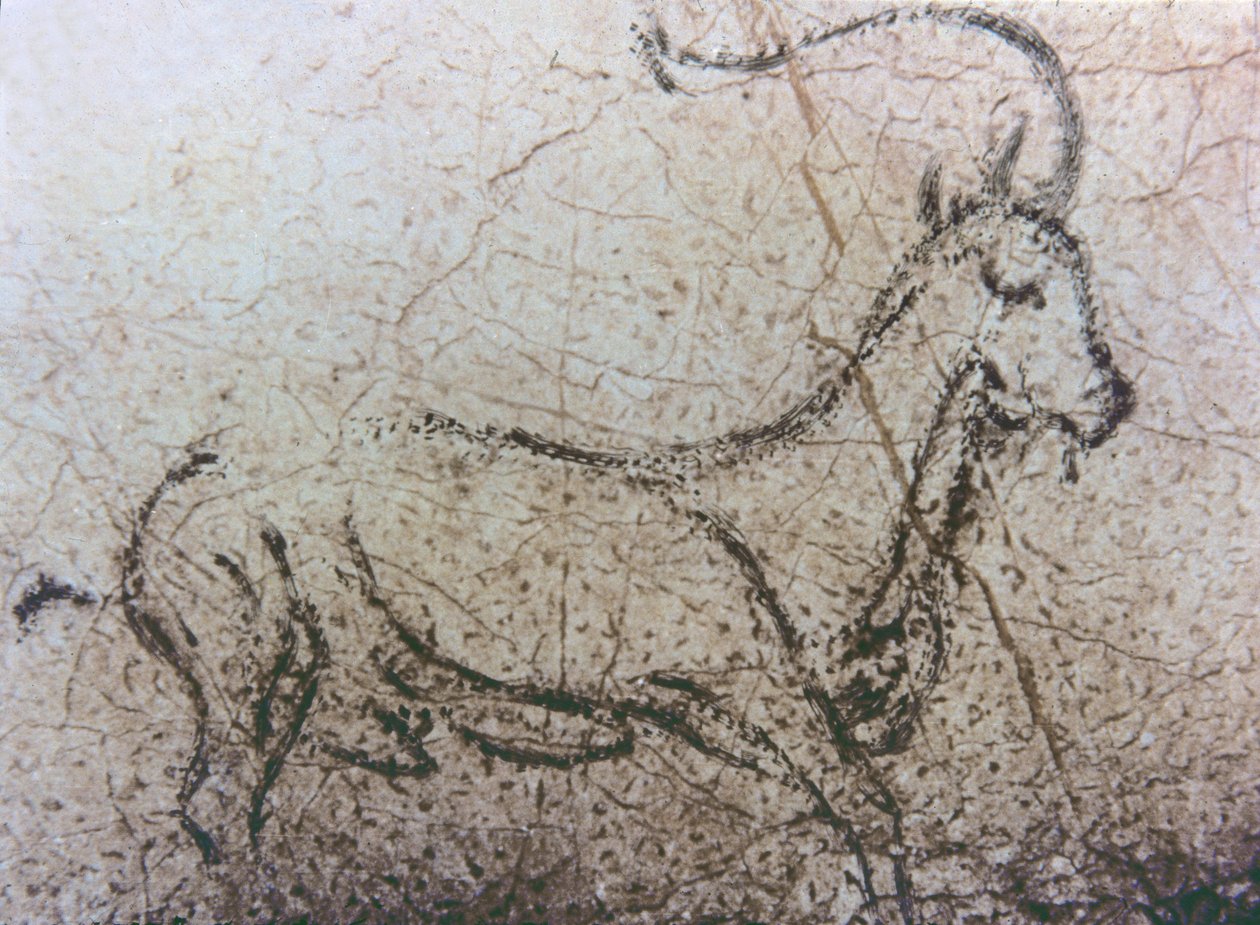 Spanish Nanny-Goat, Paleolithic Period by Unbekannter Künstler