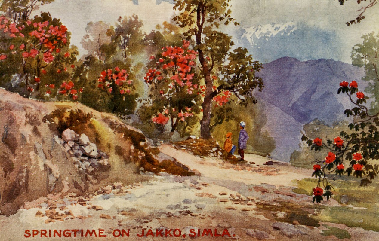 Springtime on Jahko, Simla, India by Unbekannter Künstler