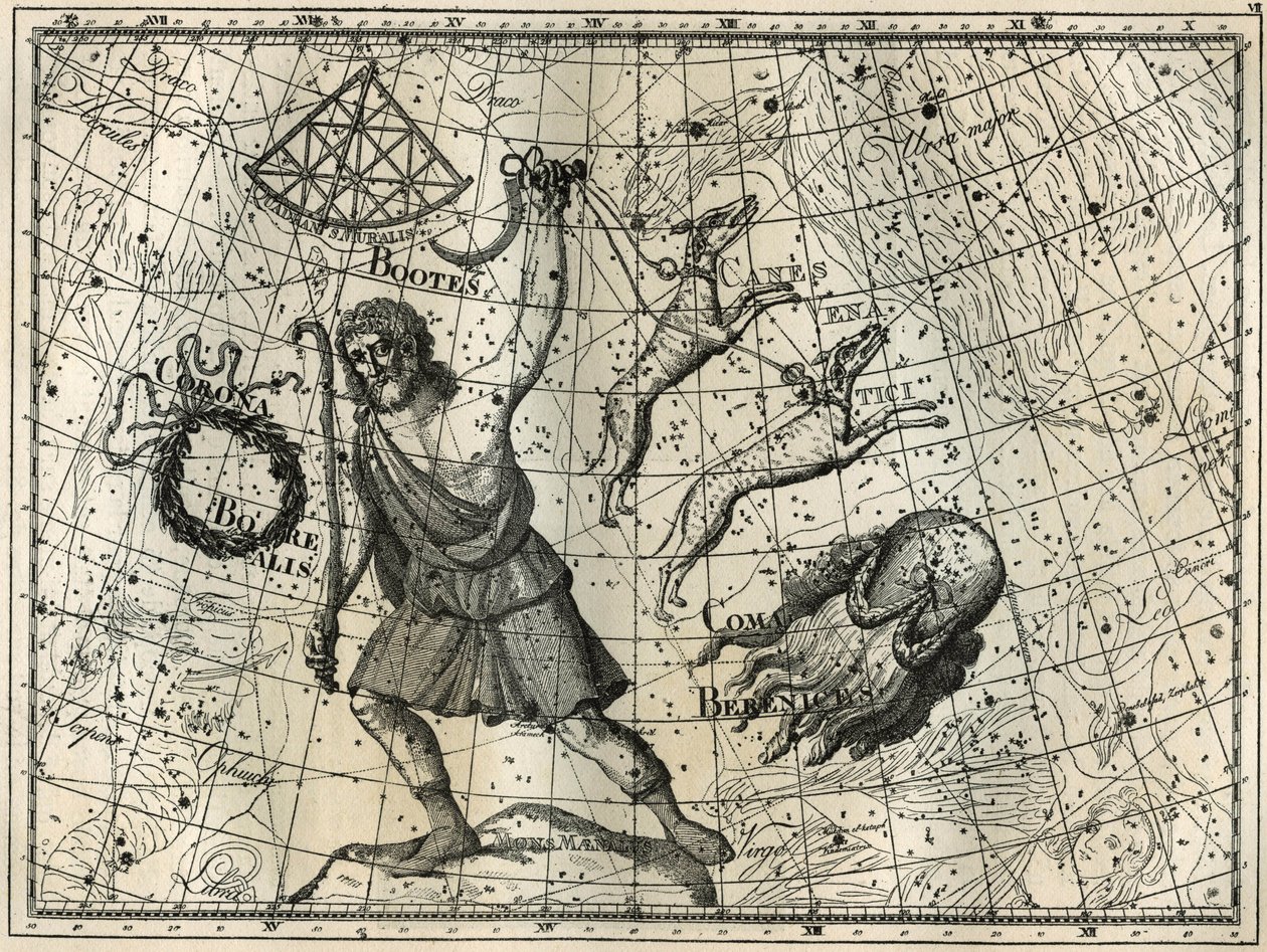 The Bower, the Boreal Crown, the hunting dogs, Berenice