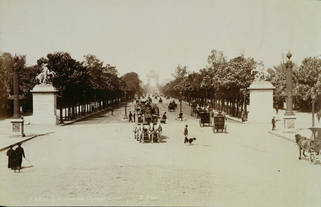 The Champs Elysees, Paris by Unbekannt