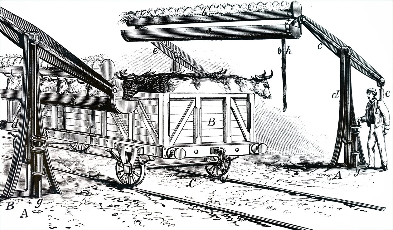 The Apparatus for Watering Cattle During Transit by Unbekannt