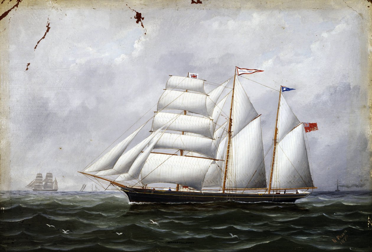 The boat 