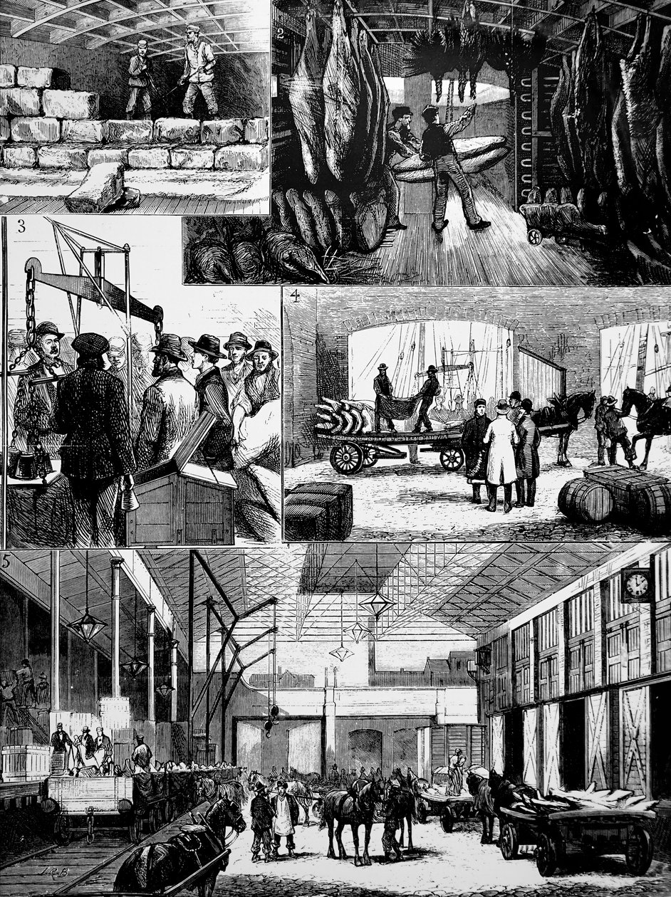 The process of moving chilled meat from the US to Liverpool by Unbekannt