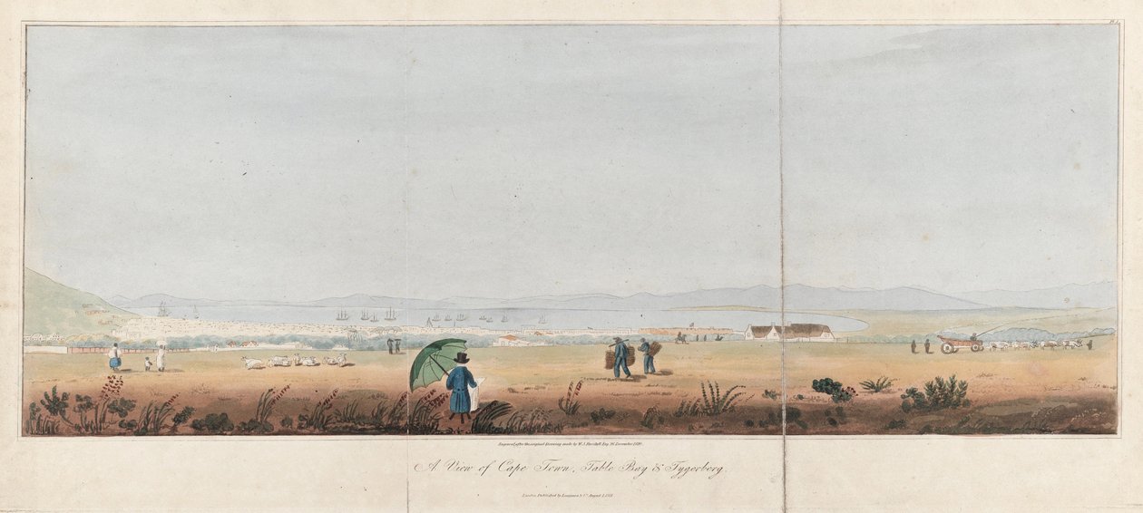 View of Cape Town, Table Bay and the Tygerberg Hills. Lithography by J.W. Burchell by Unbekannter Künstler