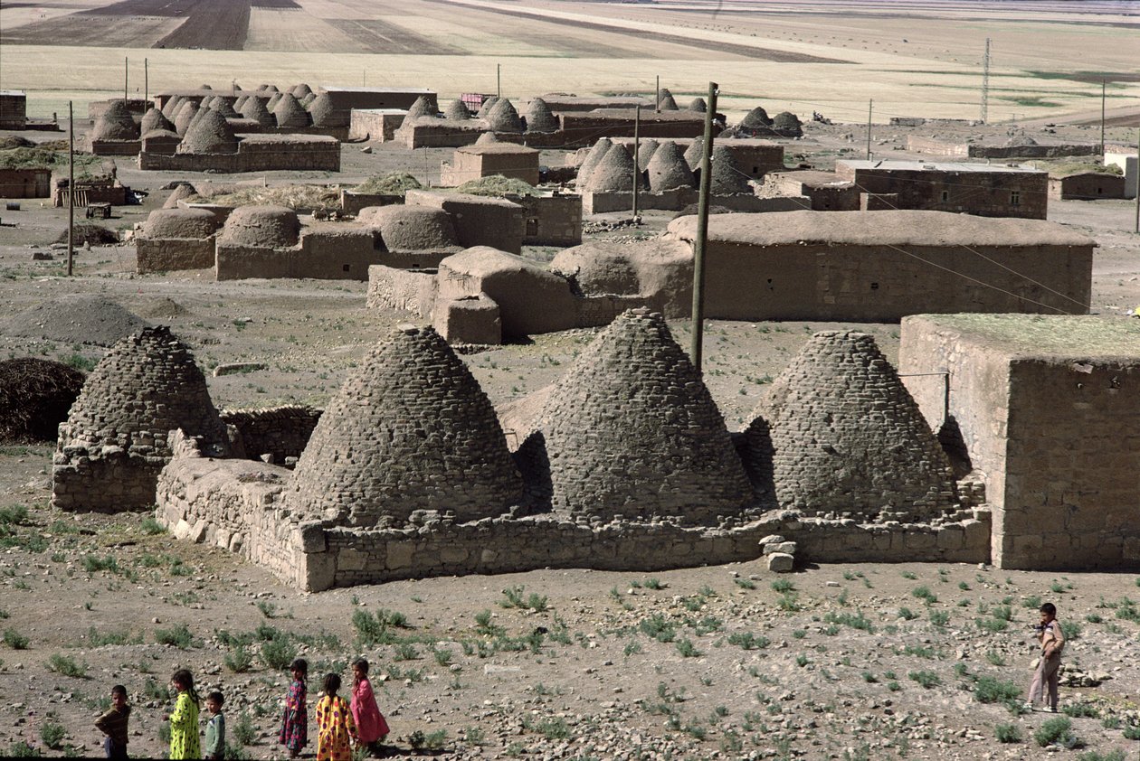 Village of beehive huts by Unbekannt