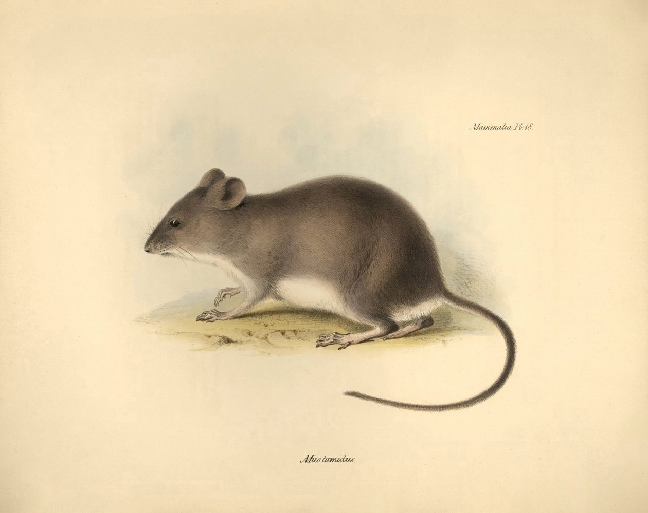 Zoology: The 