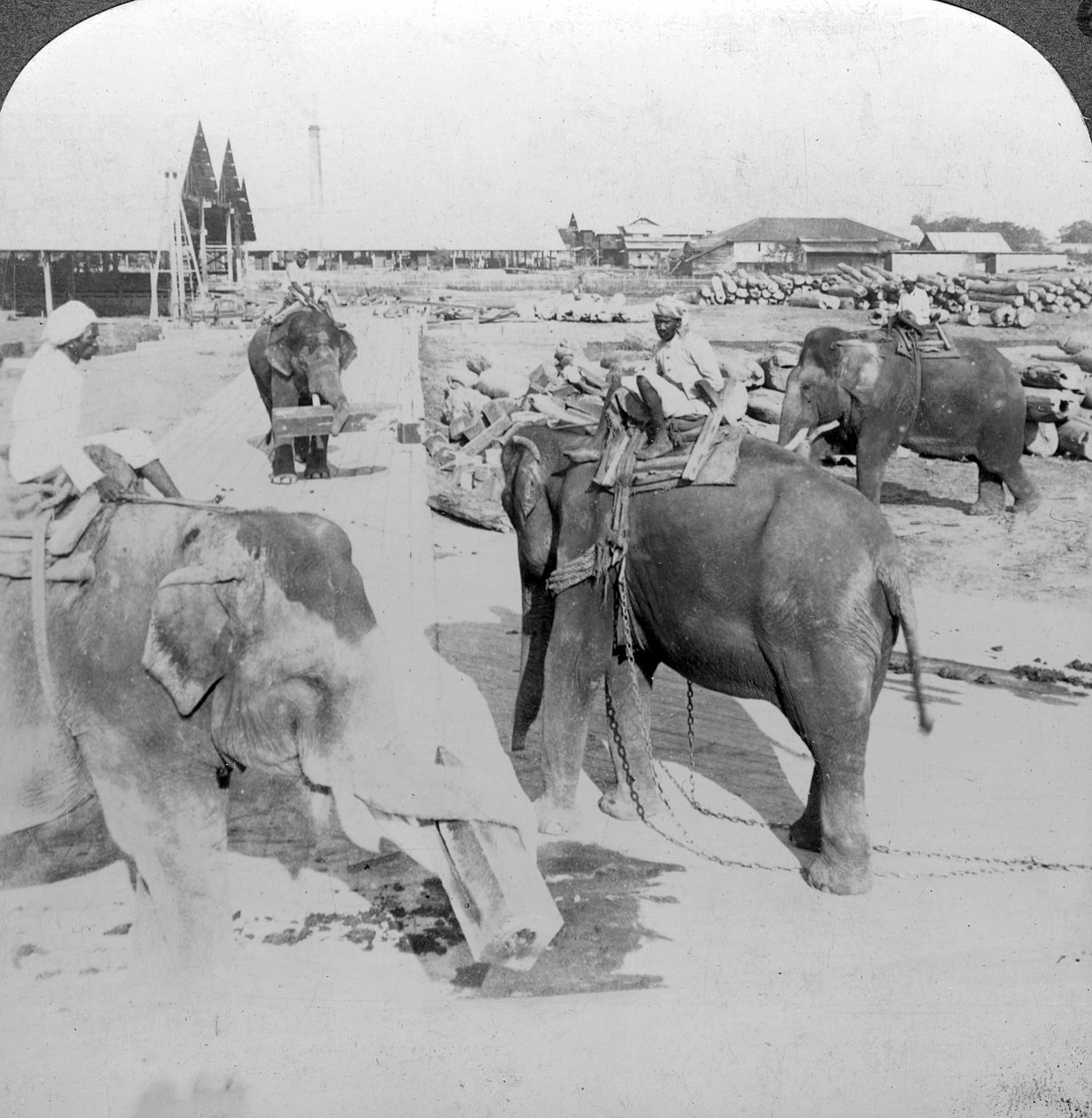 Elephants Working in a Timber Yard, India by Underwood and Underwood