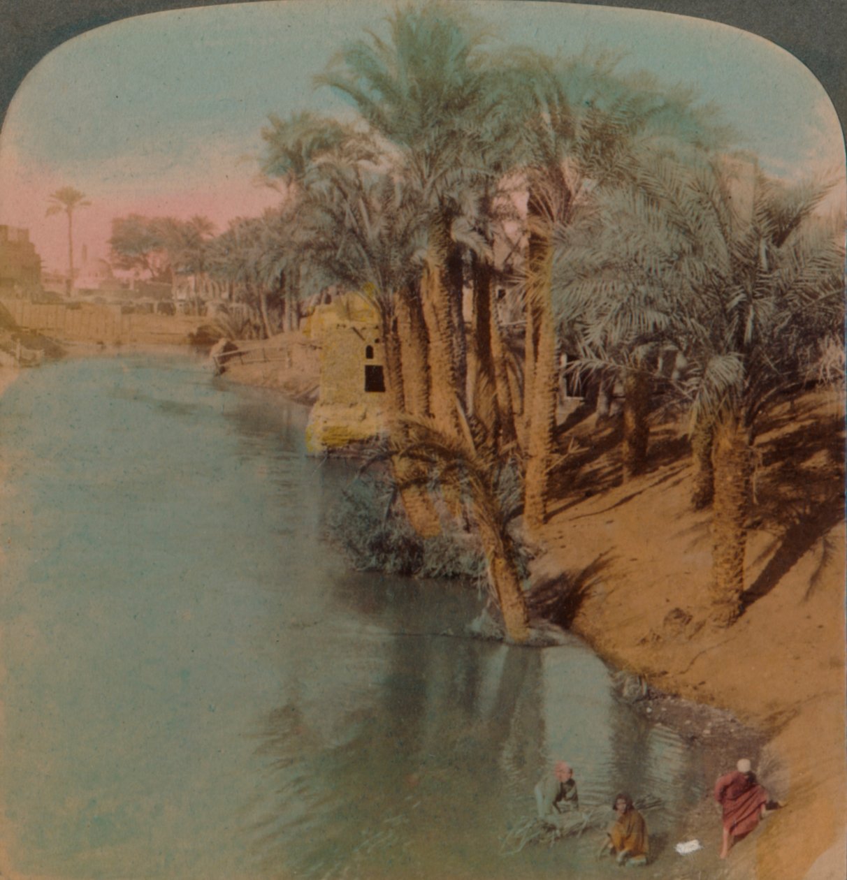 In the Fayum, the Richest Oasis in Egypt on Bahr Yussef River Joseph, to the Nile, 1902 by Underwood and Underwood