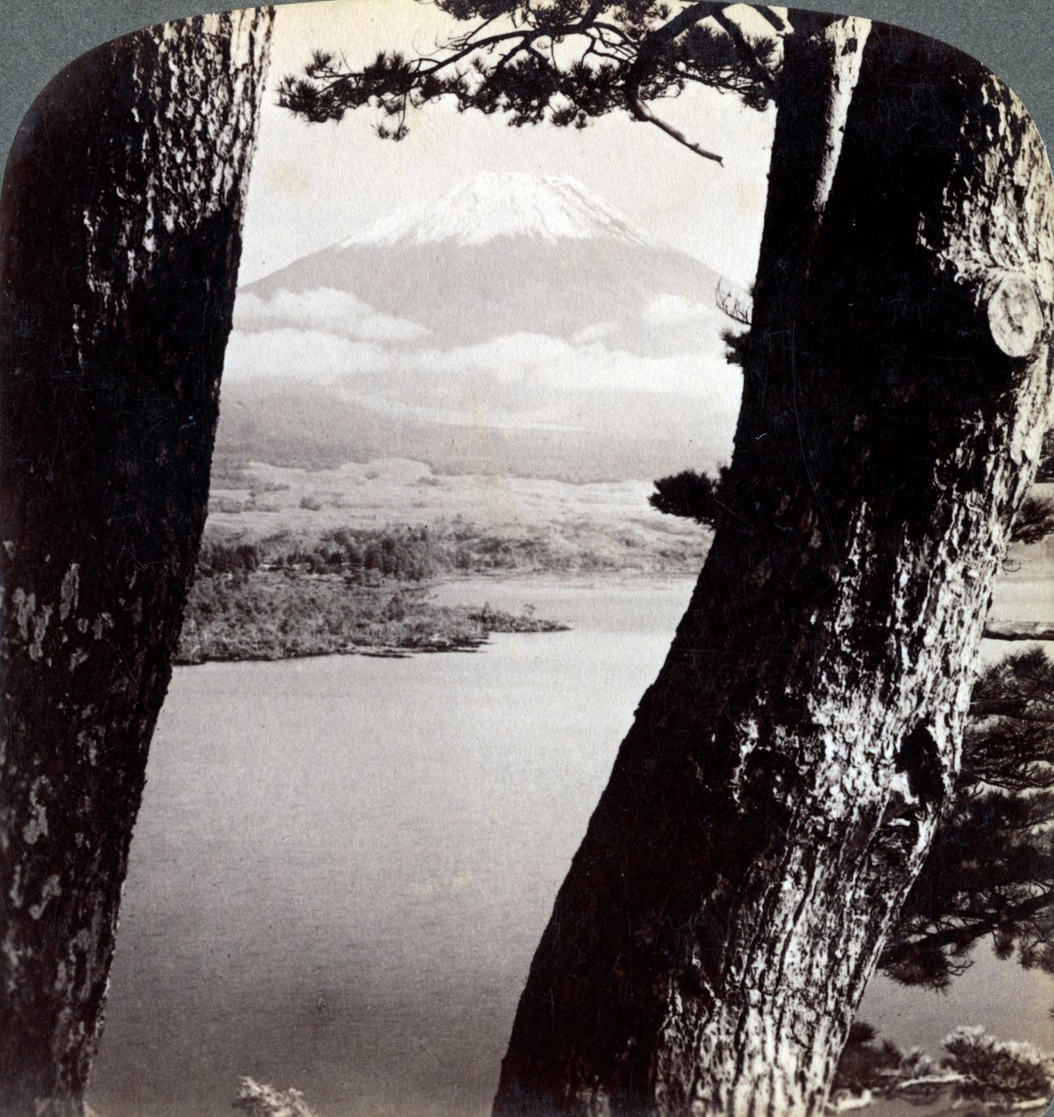 Mount Fuji, Seen from the Northwest, Through Pines at Lake Motosu, Japan by Underwood and Underwood
