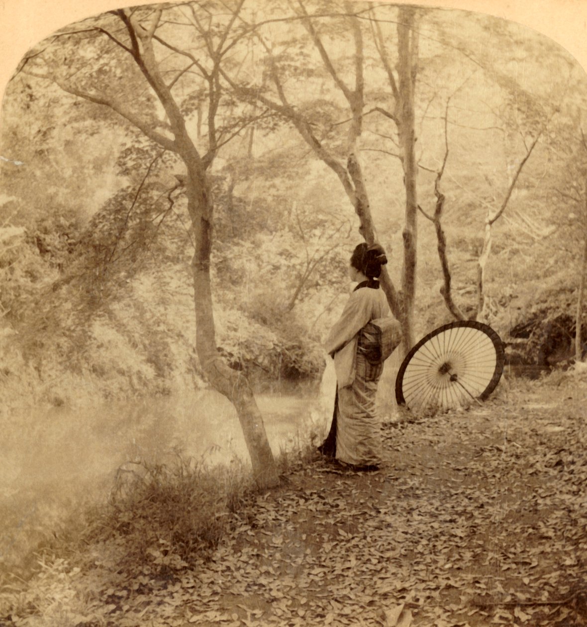 The Golden Days of Autumn in Japan by Underwood and Underwood