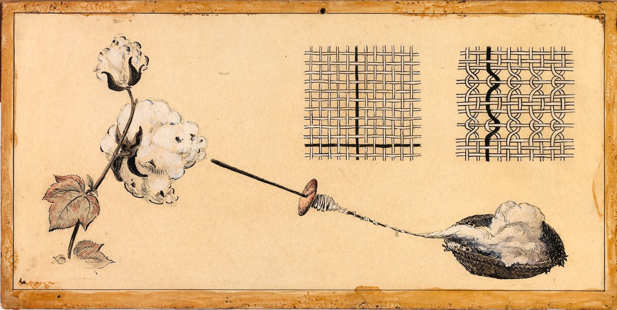 Cotton Weaving by Unidentified