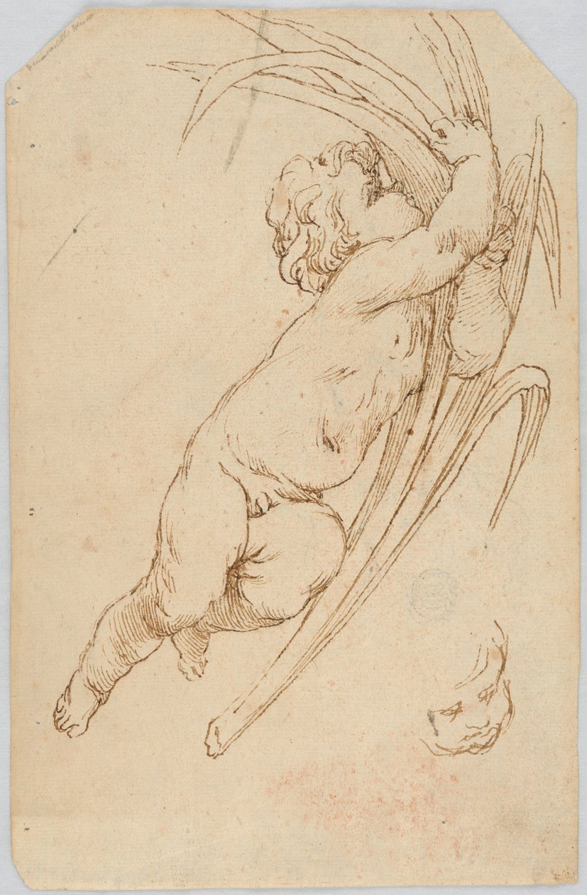 Drawing (Italy) by Unknown