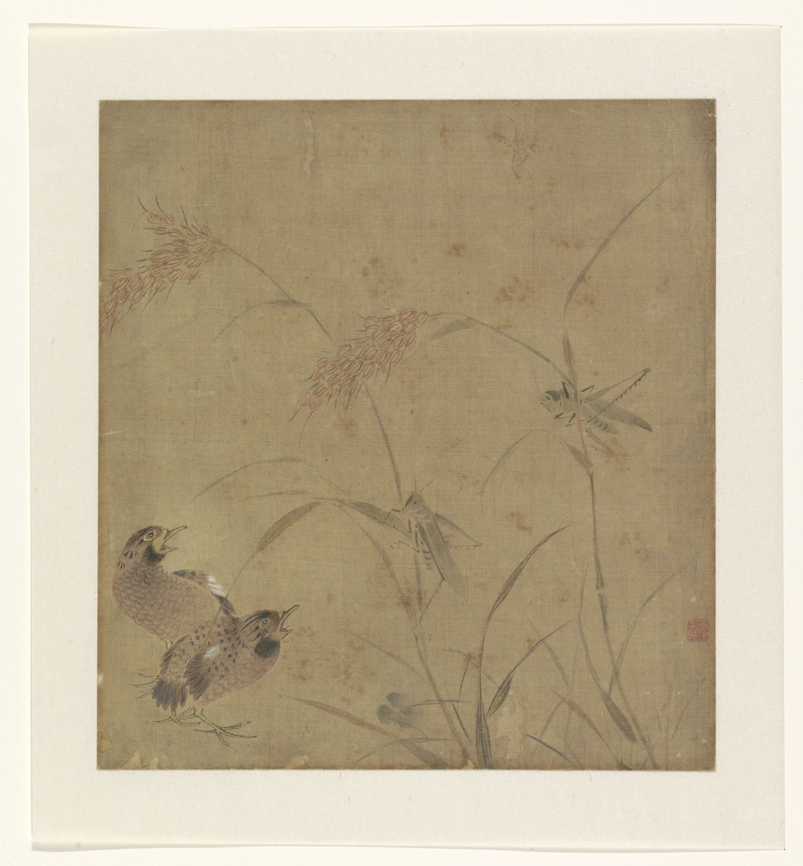 Album Page with a Depiction of Quails by Millet Stalks with Grasshoppers by Unknown
