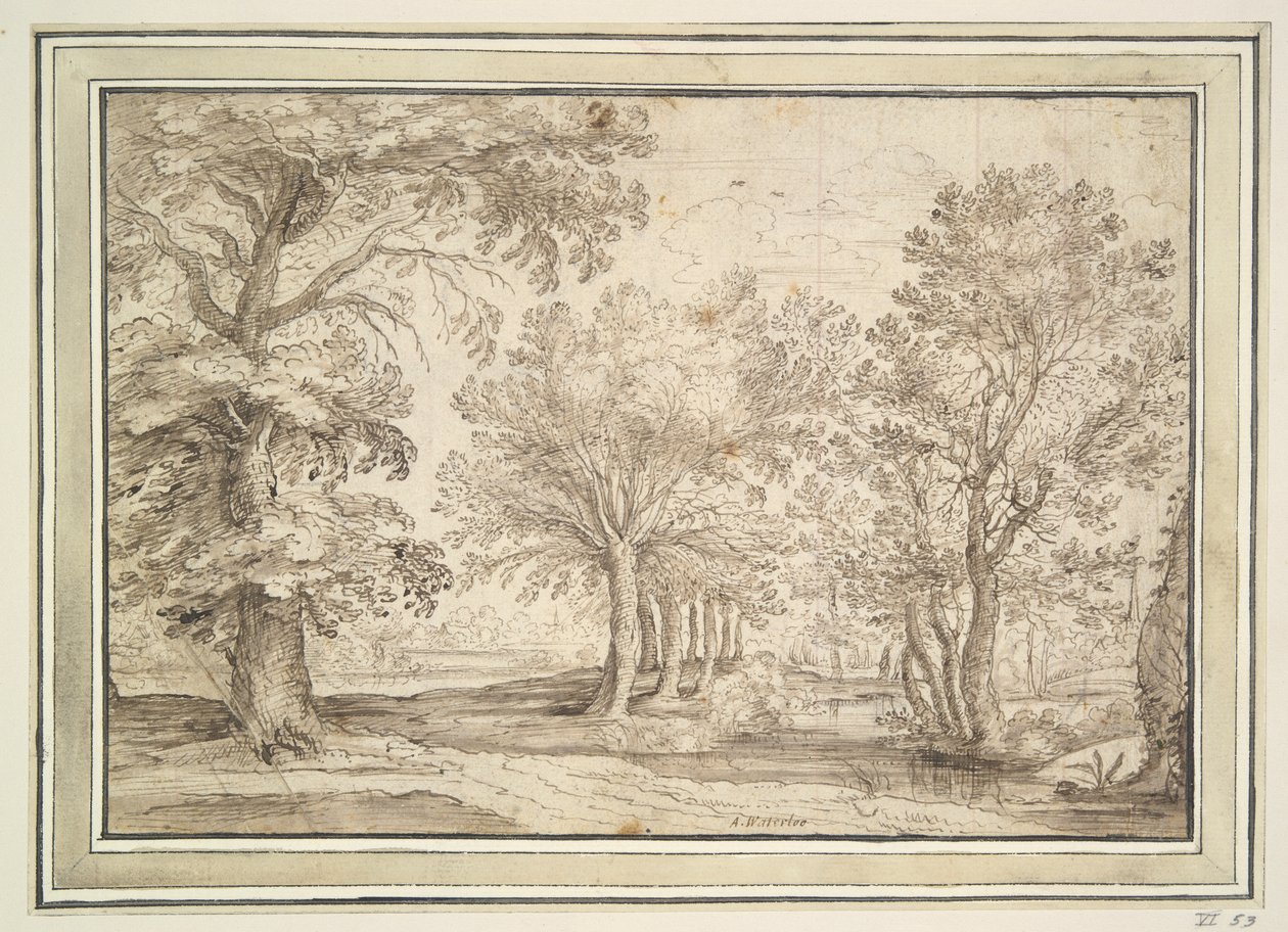 Trees on Marshy Ground by Unknown